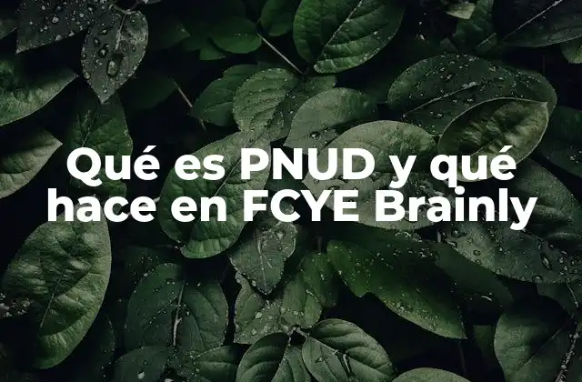 Qué es Pnud y Qué Hace en Fcye Brainly
