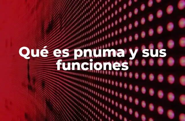 Qué es Pnuma y Sus Funciones