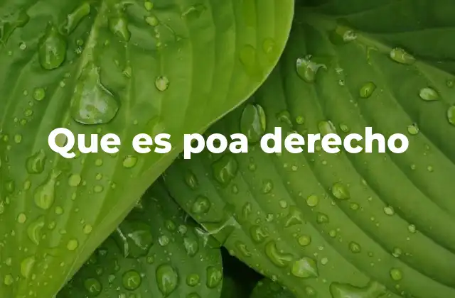 Que es Poa Derecho