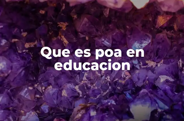 La importancia del POA en la gestión educativa