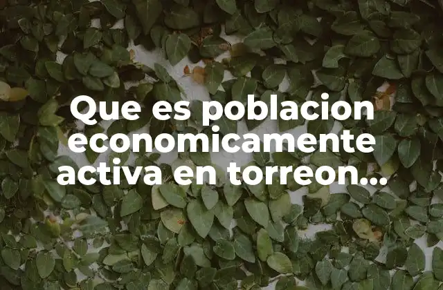 La importancia de la población activa en el desarrollo económico de Torreón
