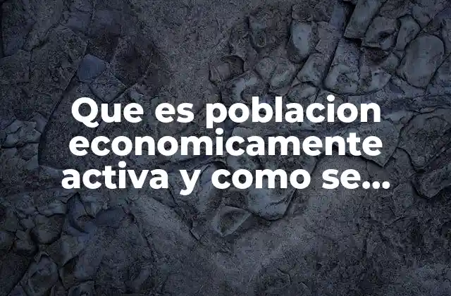 Que es Poblacion Economicamente Activa y como Se Clasifica