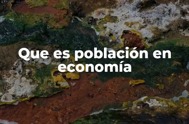 Que es Población en Economía
