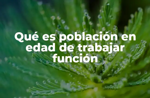 Qué es Población en Edad de Trabajar Función