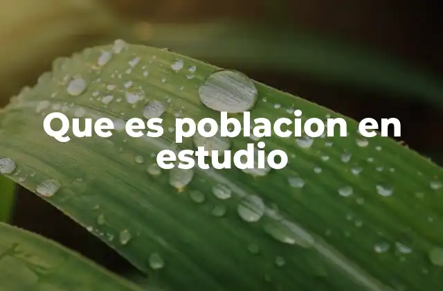 Que es Poblacion en Estudio