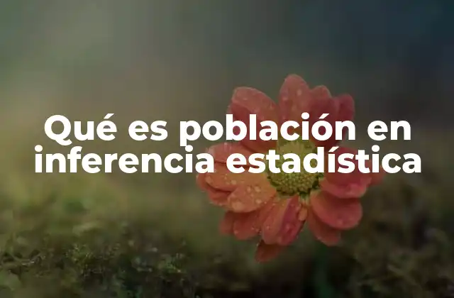 Qué es Población en Inferencia Estadística