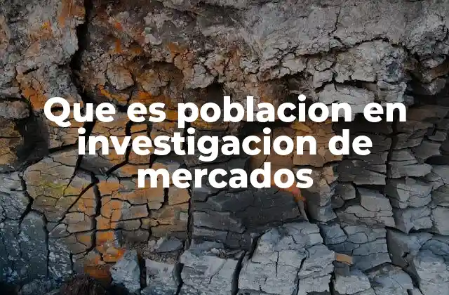 Que es Poblacion en Investigacion de Mercados