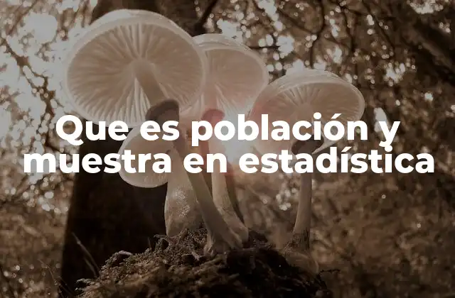 Que es Población y Muestra en Estadística