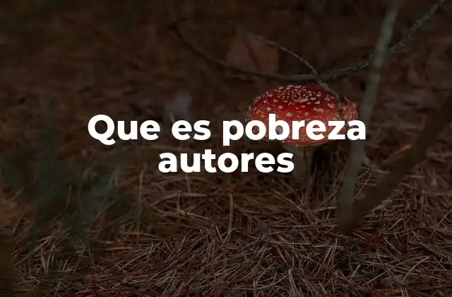 Que es Pobreza Autores