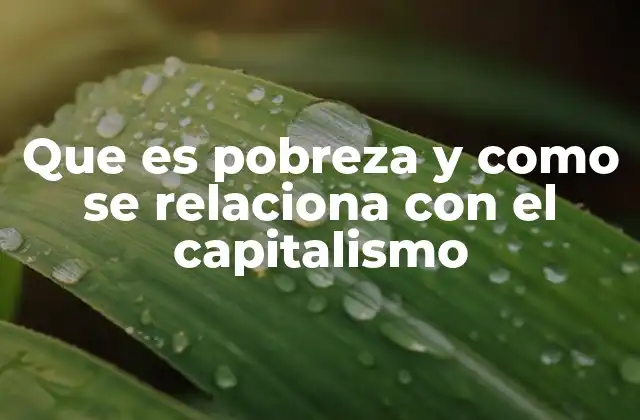 Que es Pobreza y como Se Relaciona con el Capitalismo