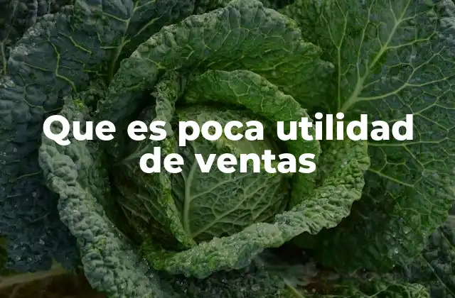 Factores que pueden llevar a una baja utilidad de ventas