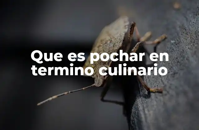 Que es Pochar en Termino Culinario