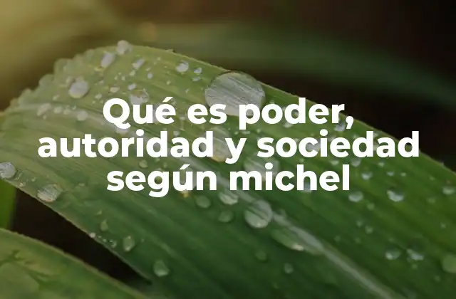 Qué es Poder, Autoridad y Sociedad según Michel