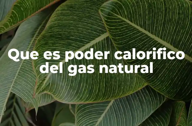 El poder calorífico como parámetro clave en la gestión energética