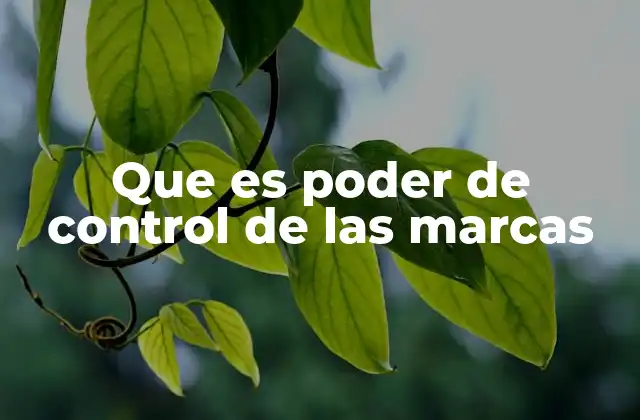 Que es Poder de Control de las Marcas
