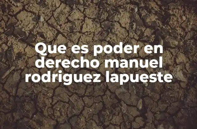 El papel del poder en la organización del Estado