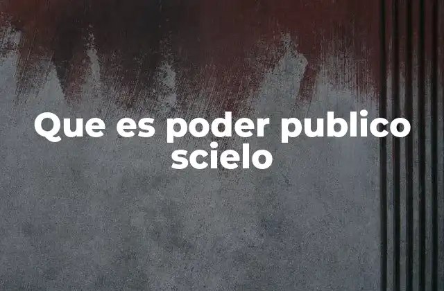 Que es Poder Publico Scielo