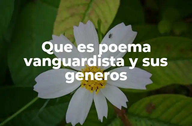 El impacto cultural de la vanguardia en la poesía