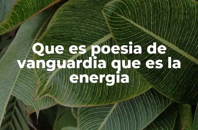 Que es Poesia de Vanguardia que es la Energia