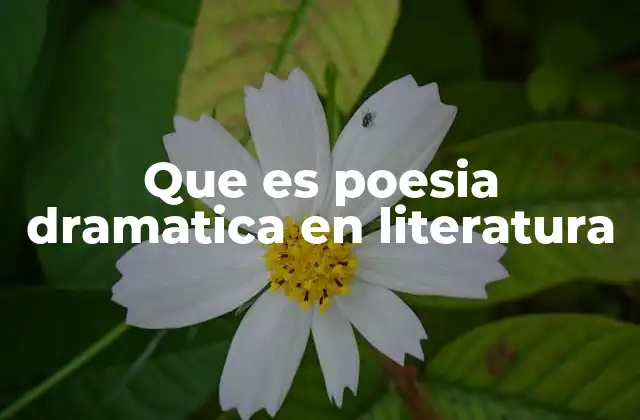 Que es Poesia Dramatica en Literatura