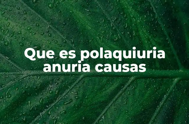Que es Polaquiuria Anuria Causas