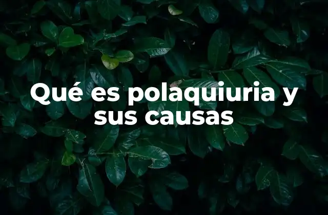 Qué es Polaquiuria y Sus Causas