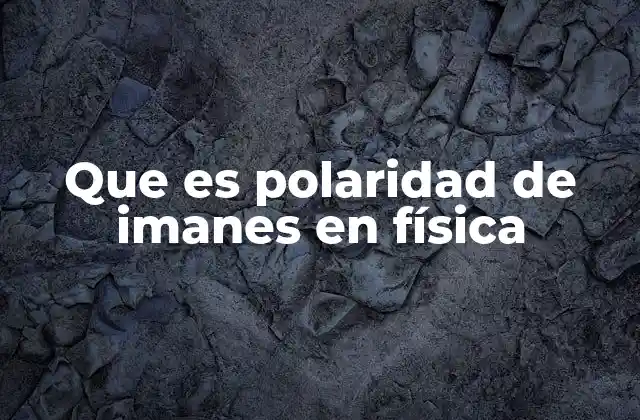 Que es Polaridad de Imanes en Física