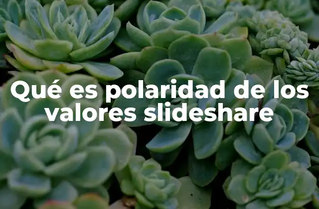 Qué es Polaridad de los Valores Slideshare