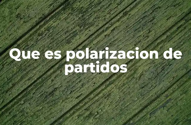 El impacto de la polarización en la gobernabilidad