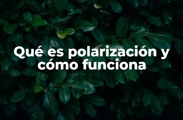 Qué es Polarización y Cómo Funciona