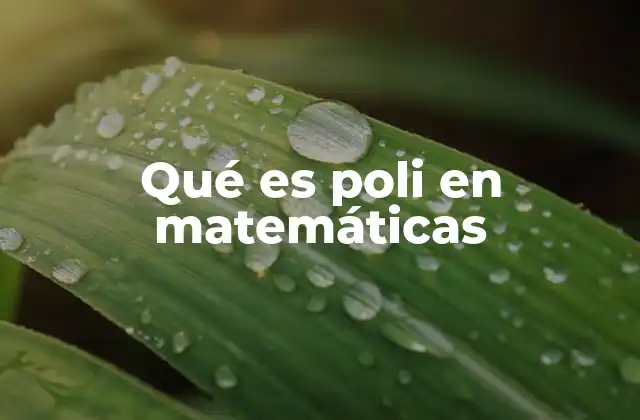 Qué es Poli en Matemáticas