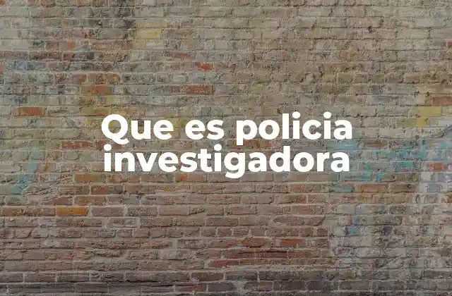Que es Policia Investigadora