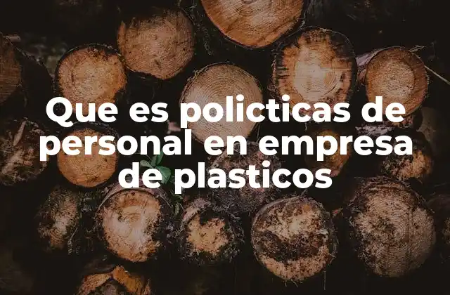 Que es Policticas de Personal en Empresa de Plasticos