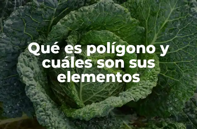 Qué es Polígono y Cuáles Son Sus Elementos