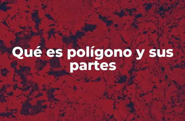 Qué es Polígono y Sus Partes