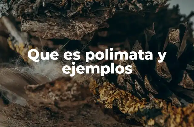 Que es Polimata y Ejemplos