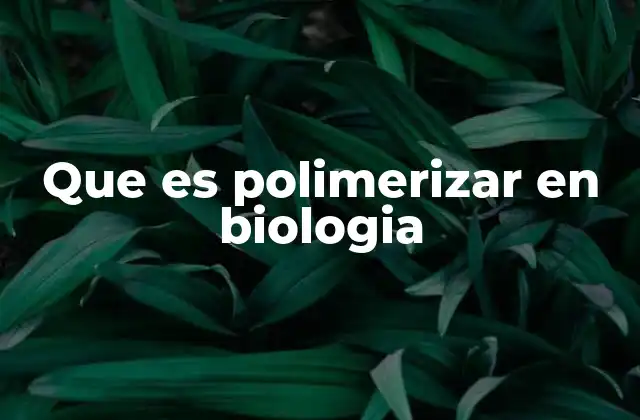 Que es Polimerizar en Biologia