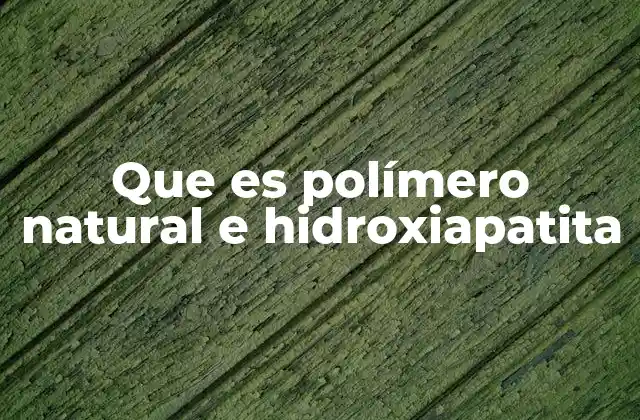 La sinergia entre polímeros naturales y minerales para aplicaciones biomédicas