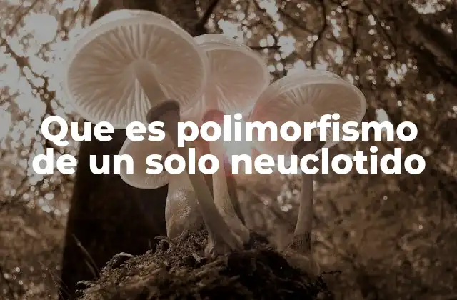 Que es Polimorfismo de un Solo Neuclotido