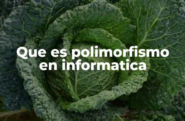 Que es Polimorfismo en Informatica