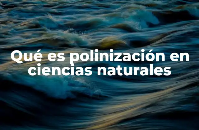 Qué es Polinización en Ciencias Naturales