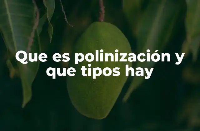 La importancia del proceso de transferencia de polen