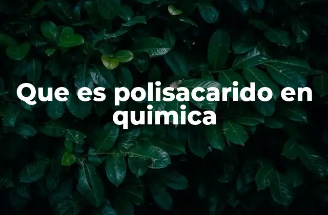 La importancia de los polisacáridos en la biología