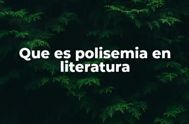 Que es Polisemia en Literatura