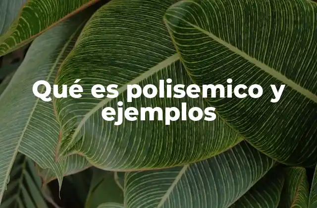 La polisemia en el desarrollo del lenguaje