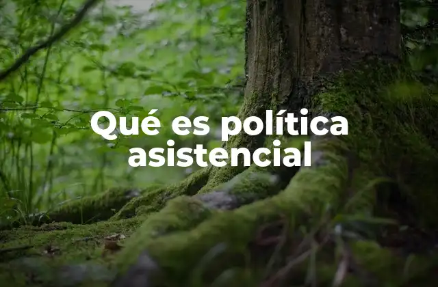 Qué es Política Asistencial