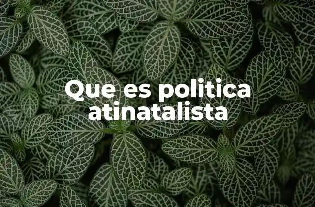 Que es Politica Atinatalista