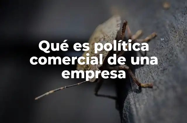 Qué es Política Comercial de una Empresa