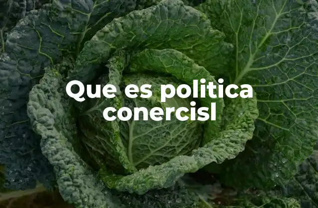 Que es Politica Conercisl