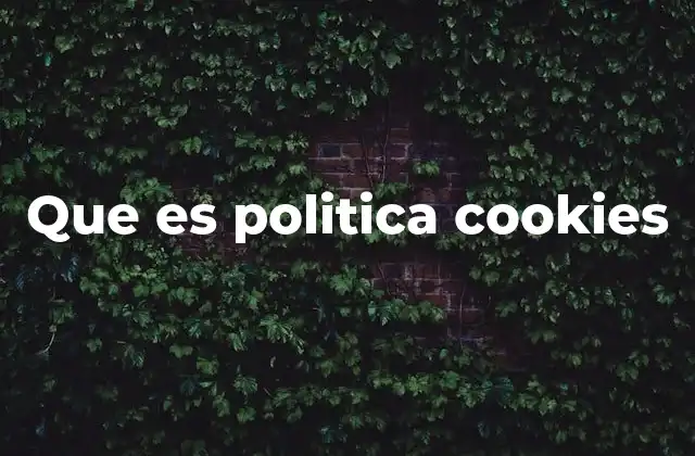Que es Politica Cookies